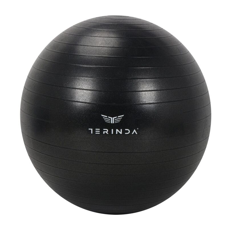 Lopta za gimnatiku Terinda 55