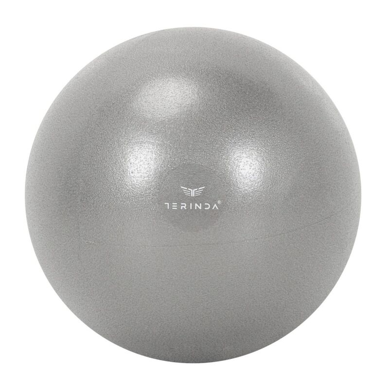 Lopta za gimnatiku Terinda Mini grey 25cm