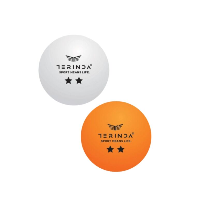 Loptice za stoni tenis Terinda Two star whi/org 6/1