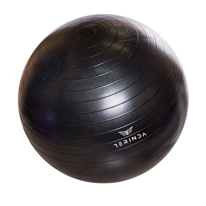 LOPTA ZA GIMNASTIKU TERINDA YOGA BALL BALA 75