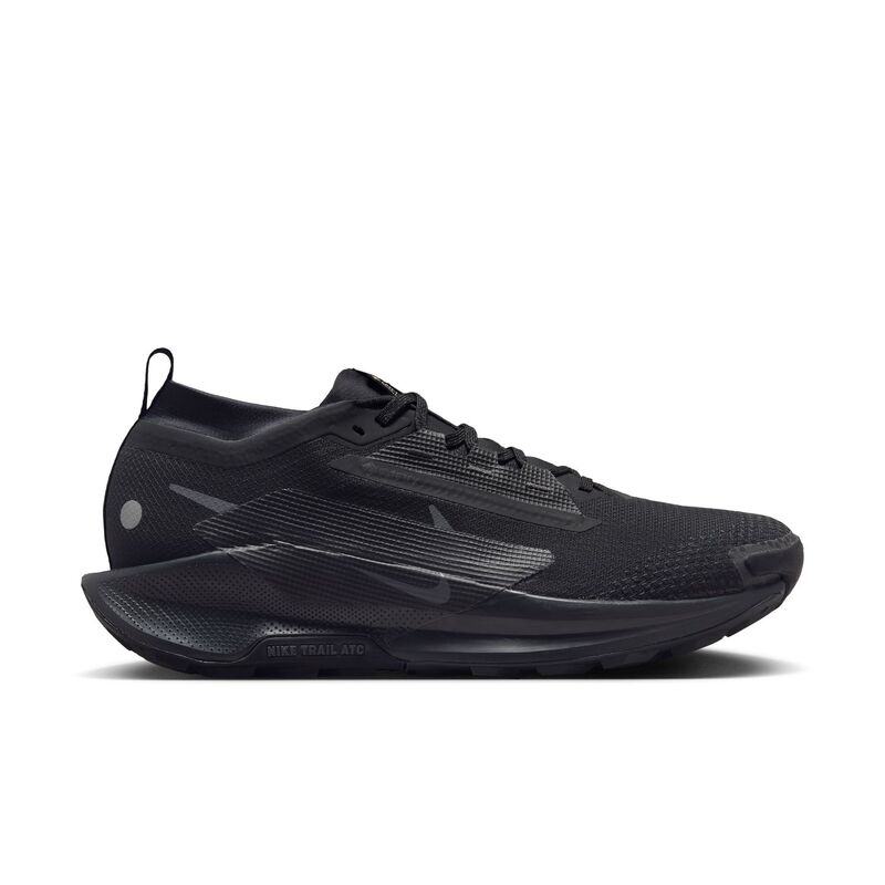 Muške patike Nike Pegasus Trail 5 Gtx
