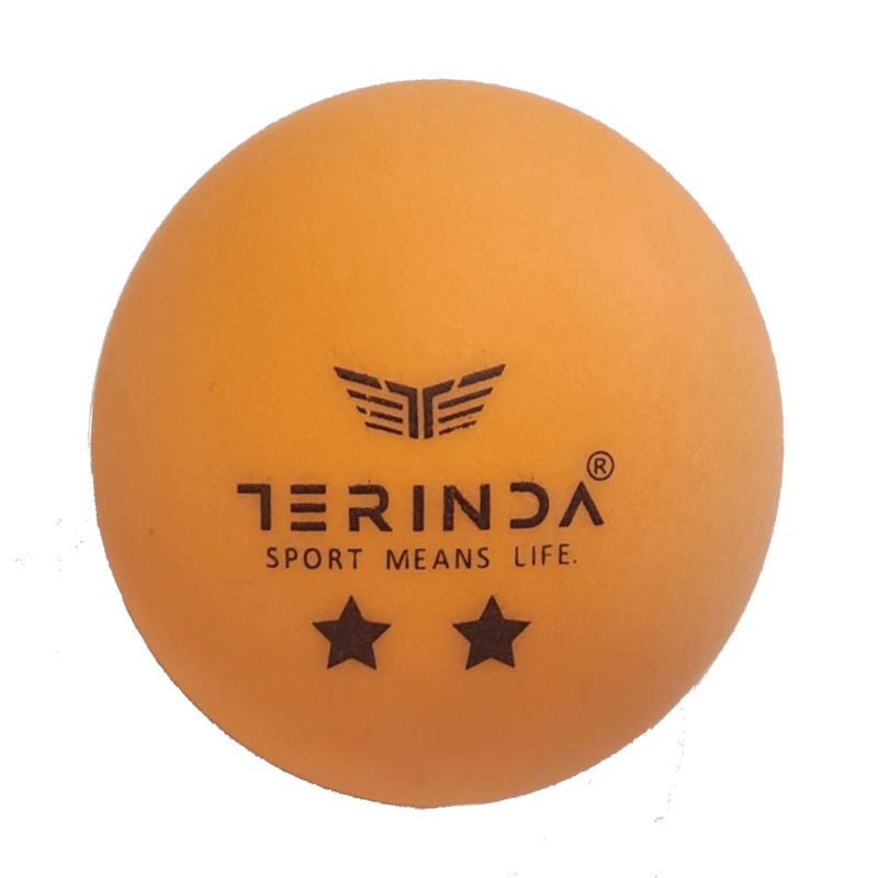 TERINDA LOPTICE ZA STONI TENIS