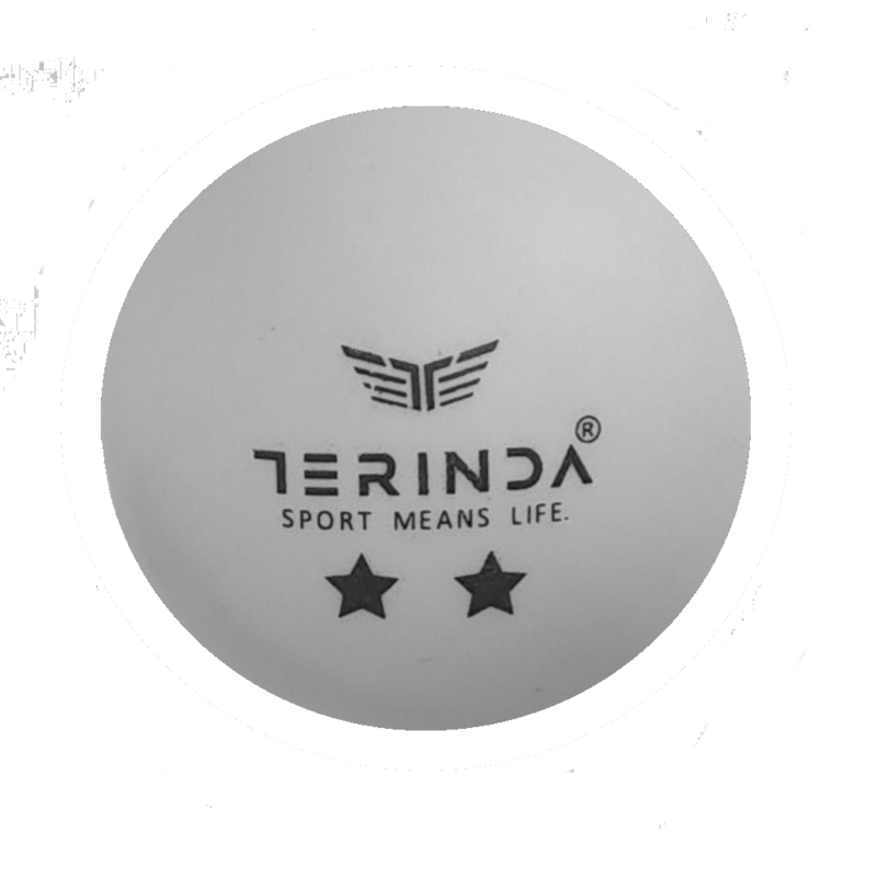 TERINDA LOPTICE ZA STONI TENIS