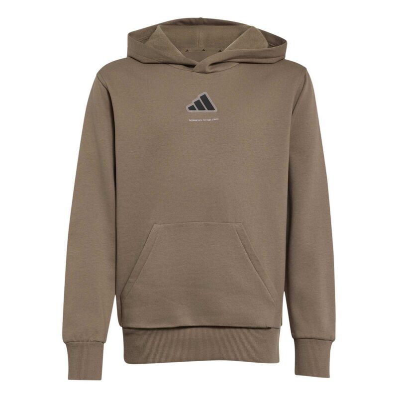 Dečiji duks sa kapuljačom adidas B fl hd