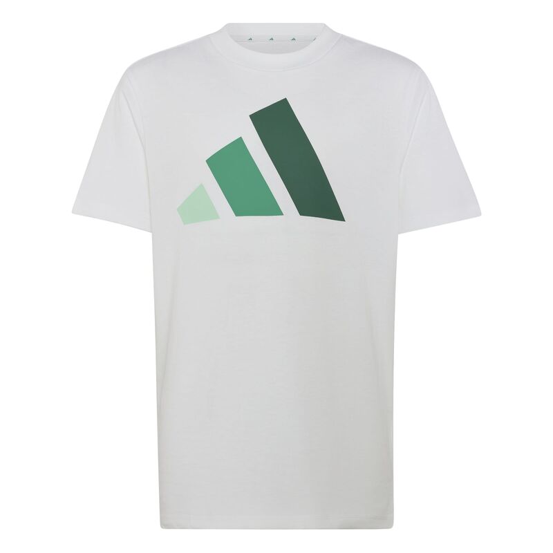 Dečija majica adidas J bl tee 160