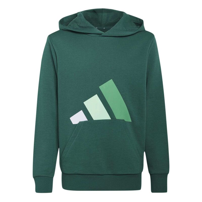 Dečiji duks sa kapuljačom adidas J bl ft hd 280
