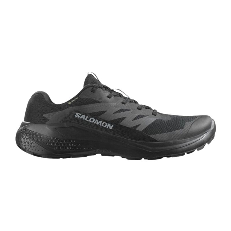 Muške patike Salomon Alphaglide gtx