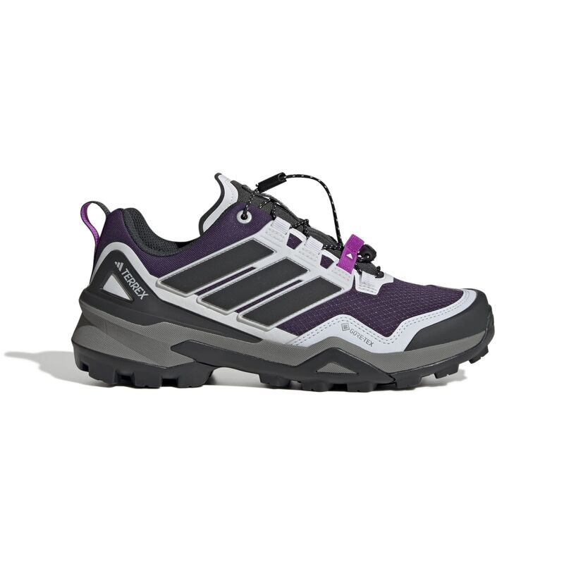 Ženske cipele adidas Terrex skychaser gtx w
