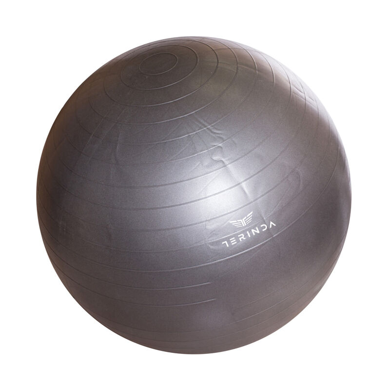 LOPTA ZA GIMNASTIKU TERINDA YOGA BALL BALA 85