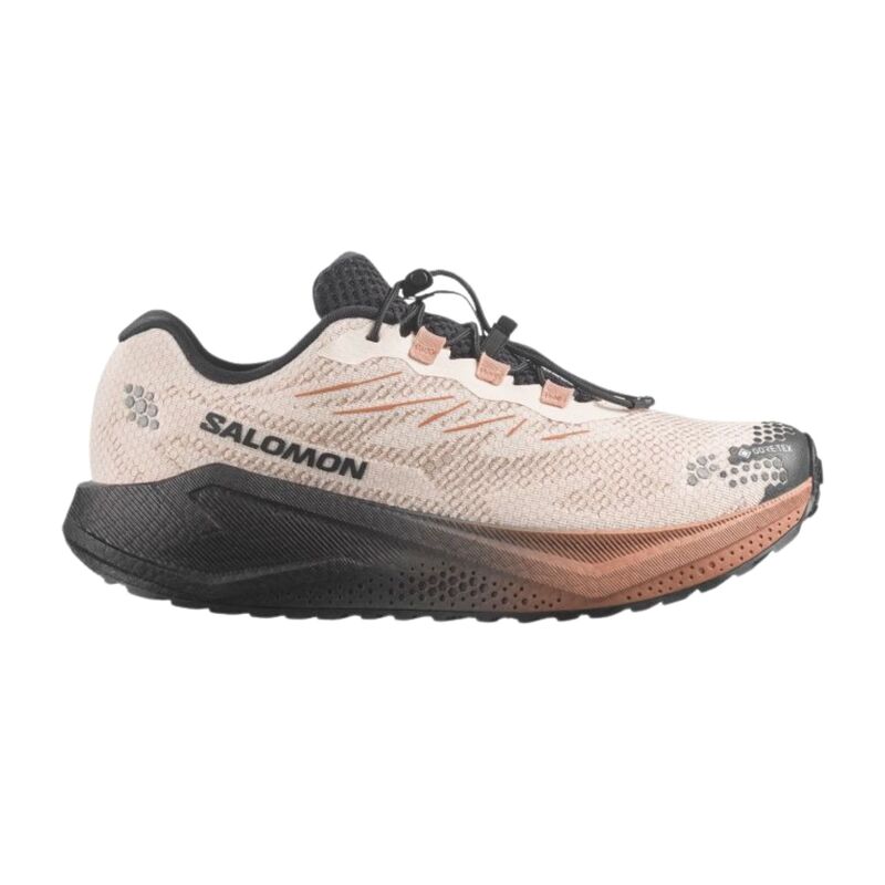 Muške patike Salomon Shoes aero blaze 4 grvl gtx