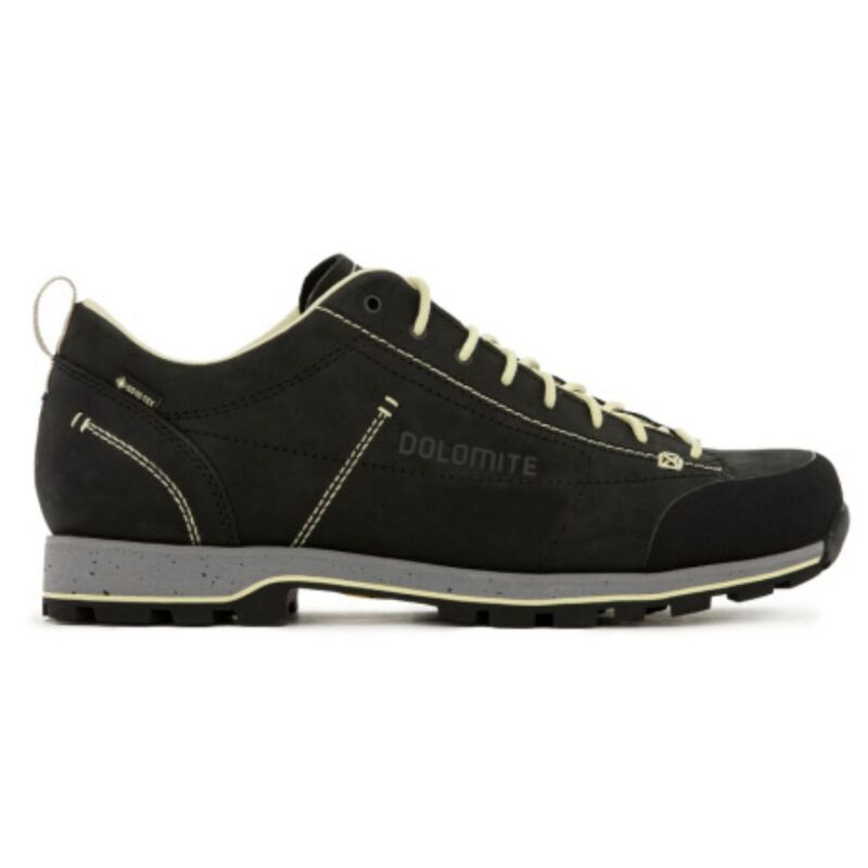 Muške cipele Dolomite Shoe 54 low fg evo gtx