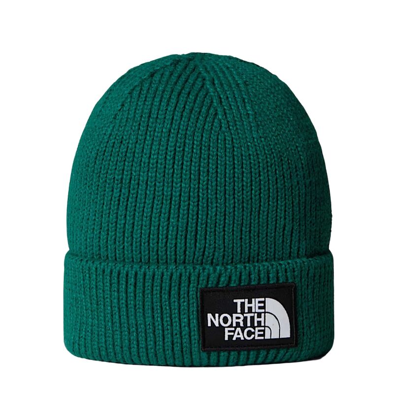 Muška jakna Tnf Tnf logo box cuffed beanie evergreen