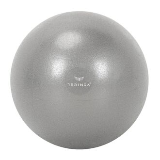 Lopta za gimnatiku Terinda Mini grey 25cm