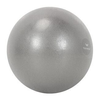 Lopta za gimnatiku Terinda Mini grey 25cm