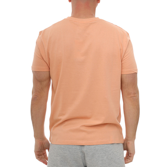 Muška majica Russell Colf-s/s crew neck tee