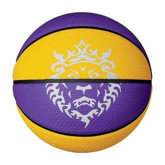 Lopta za košarku Nike Playground 2.0 8p l james