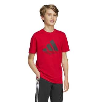 DEČIJA MAJICA ADIDAS B BL T