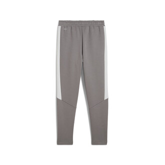 Dečija trenerka donji deo Puma Evostripe Pants Dk B