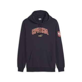 Muški duks Puma Fss Ftblicons Hoody