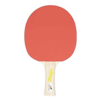 PRO TOUCH REKET ZA STONI TENIS PRO 2000
