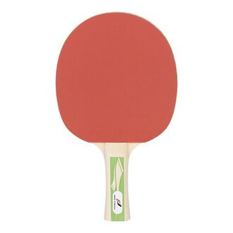PRO TOUCH REKET ZA STONI TENIS PRO 3000