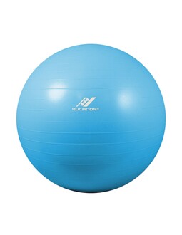 RUCANOR LOPTA ZA PILATES