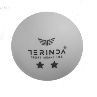 TERINDA LOPTICE ZA STONI TENIS
