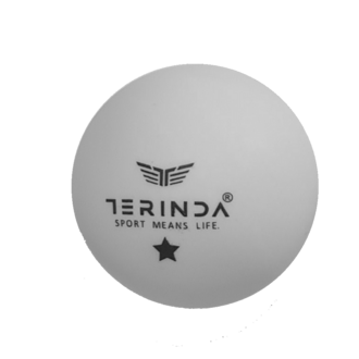 TERINDA LOPTICE ZA STONI TENIS