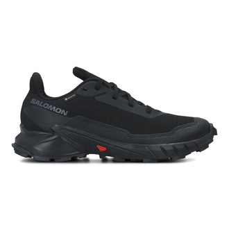 Muške cipele Salomon Alphacross 5 Gtx