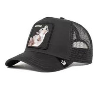Unisex kačket Goorin Bros The lone wolf
