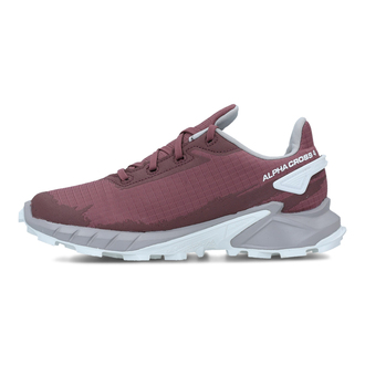 Ženske patike Salomon Shoes Alphacross 4 Gtx W Wild Ginger/Ash
