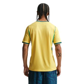 Muška majica Nike Cbf m nk df jsy ss stad hm