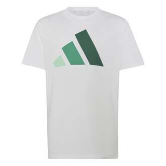 Dečija majica adidas J bl tee 160