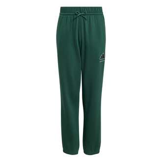Dečija trenerka donji deo Adidas B fl pt