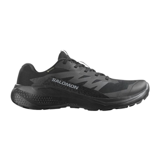 Muške patike Salomon Alphaglide gtx