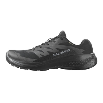Muške patike Salomon Alphaglide gtx