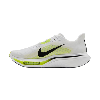 Muške patike Nike Pegasus plus 2
