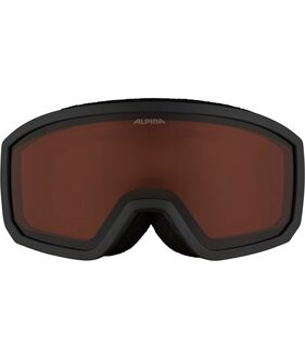 Dečije naočare za skijanje Alpina Scarabeo jr