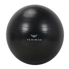 Lopta za gimnatiku Terinda 55