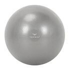 Lopta za gimnatiku Terinda Mini grey 25cm