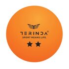 Loptice za stoni tenis Terinda Two star whi/org 6/1
