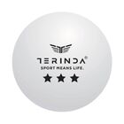 Loptice za stoni tenis Terinda Three star whi 6/1