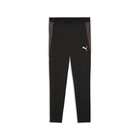 Muška trenerka donji deo Puma Individualfinal training pants