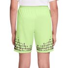 Dečiji &scaron;orc Nike Km k nk df acd25 short ss -pd
