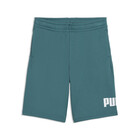 Dečiji &scaron;orc Puma Ess no. 1 logo shorts tr b