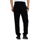 Mu&scaron;ka trenerka donji deo Champion Ch sport cuffed pants