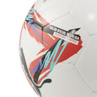 Lopta za fudbal Puma Orbita Laliga 1 Ms