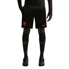 Mu&scaron;ki &scaron;orc Nike Knvb m nk df strk short kz