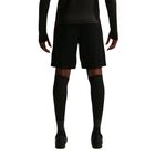 Mu&scaron;ki &scaron;orc Nike Knvb m nk df strk short kz