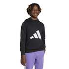DEČIJI DUKS ADIDAS J BL FT HD 280